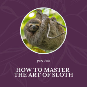 How to master the art of sloth by Cathy Jacob at CathyJacob.com