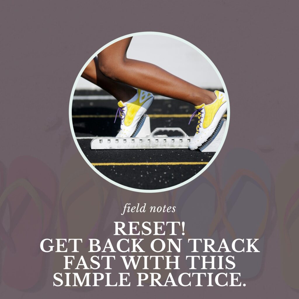 RESET Get back on track fast by Cathy Jacob at CathyJacob.com