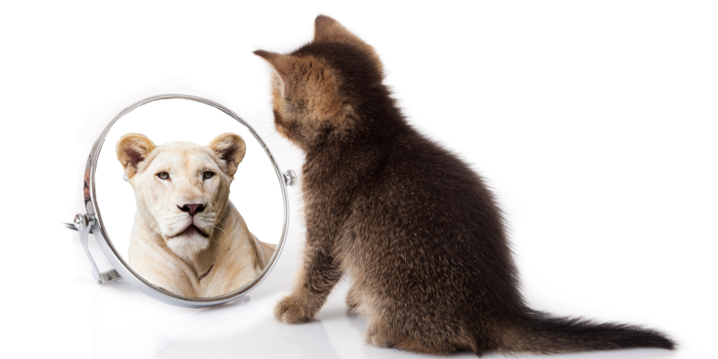 The key to lasting self-confidence by Cathy Jacob at CathyJacob.com