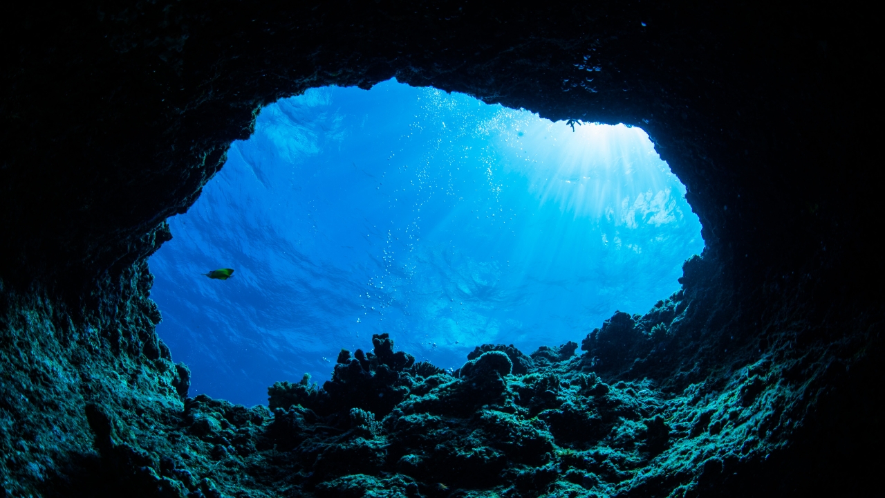 The Transformative Power of Diving Deep by Cathy Jacob at CathyJacob.com